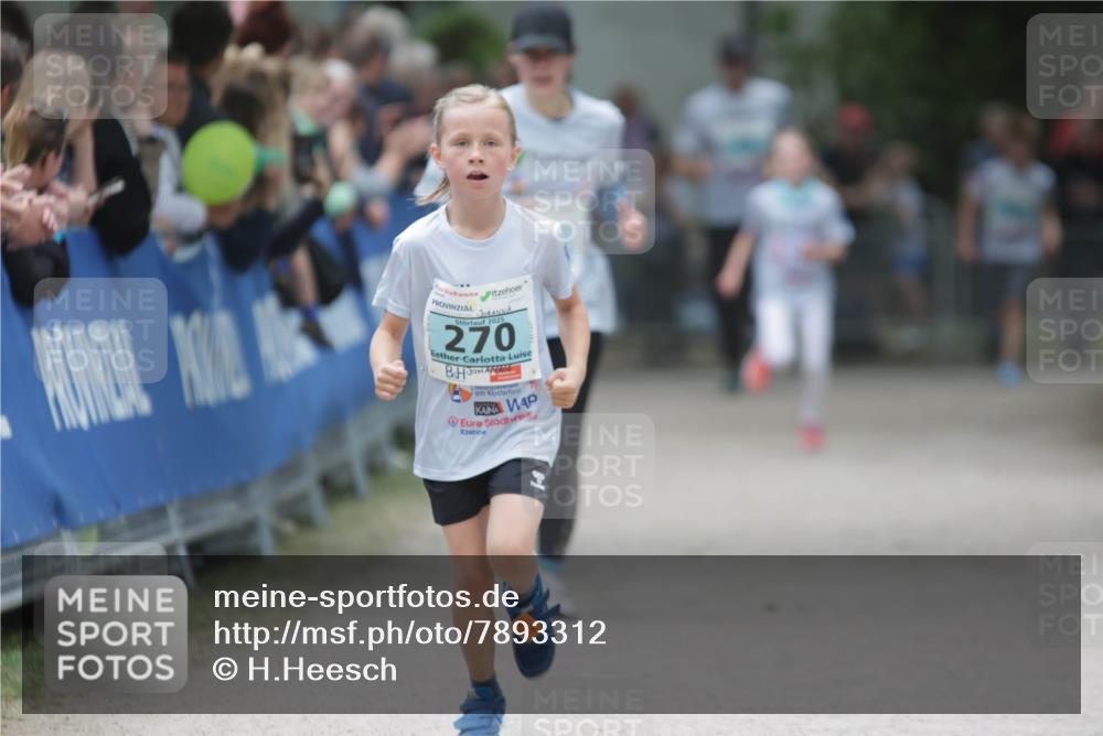 17.05.2025 - Störlauf H.Heesch http://msf.ph/oto/7893312 17.05.2025 13:41:49 Ziel 2025, 270 meine-sportfotos.de