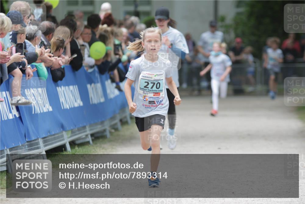 17.05.2025 - Störlauf H.Heesch http://msf.ph/oto/7893314 17.05.2025 13:41:49 Ziel 2025, 270 meine-sportfotos.de