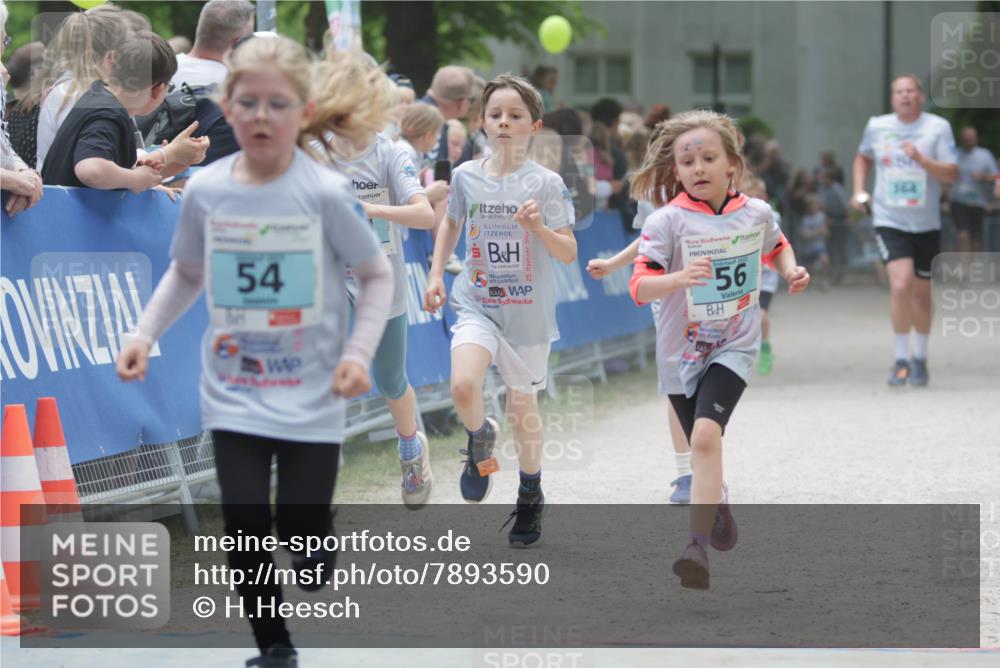 17.05.2025 - Störlauf H.Heesch http://msf.ph/oto/7893590 17.05.2025 13:43:09 Ziel 54, 25, 56, 564 meine-sportfotos.de