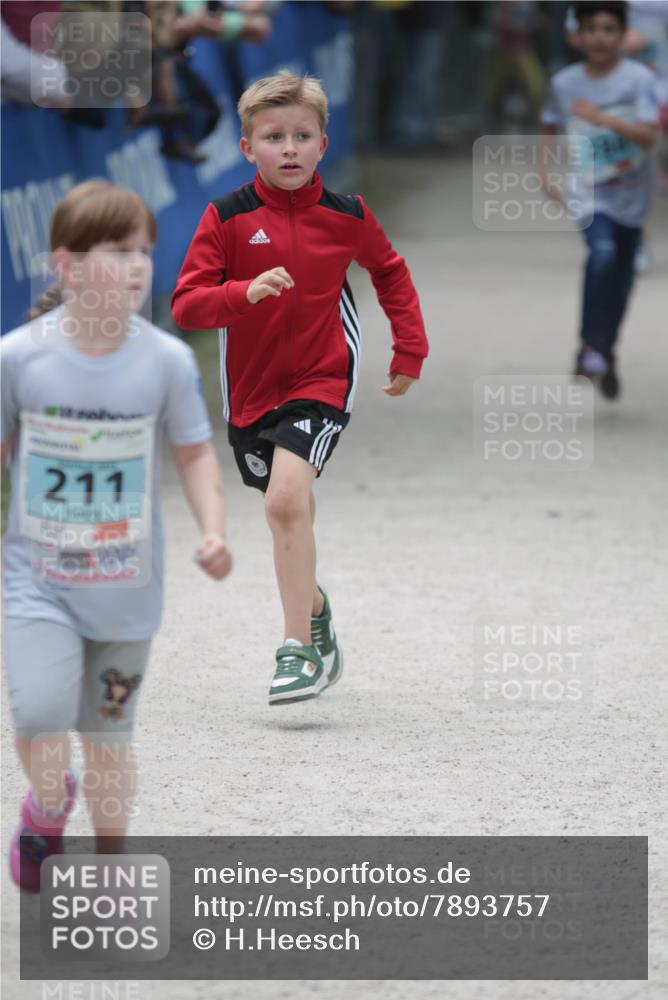 17.05.2025 - Störlauf H.Heesch http://msf.ph/oto/7893757 17.05.2025 13:44:02 Ziel 211 meine-sportfotos.de