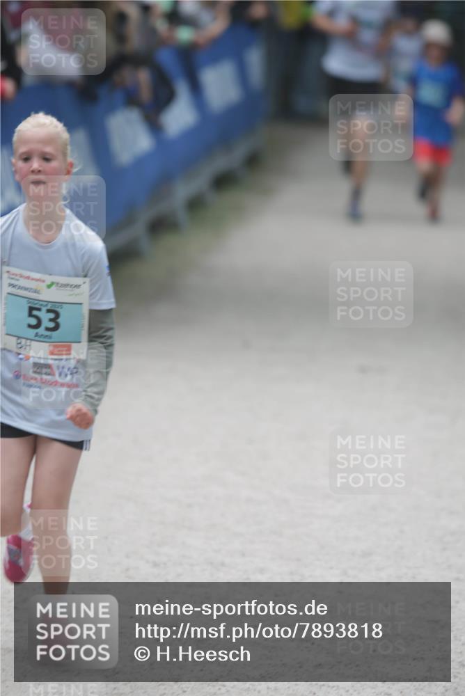 17.05.2025 - Störlauf H.Heesch http://msf.ph/oto/7893818 17.05.2025 13:44:27 Ziel 53 meine-sportfotos.de