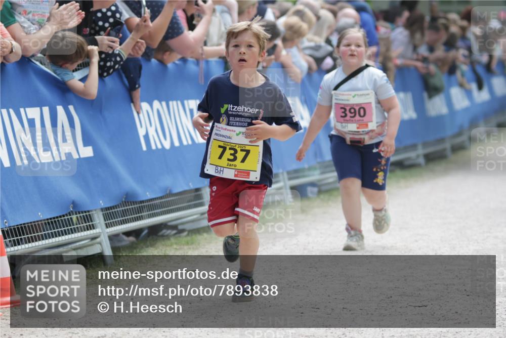 17.05.2025 - Störlauf H.Heesch http://msf.ph/oto/7893838 17.05.2025 14:10:40 Ziel 2025, 737, 390 meine-sportfotos.de
