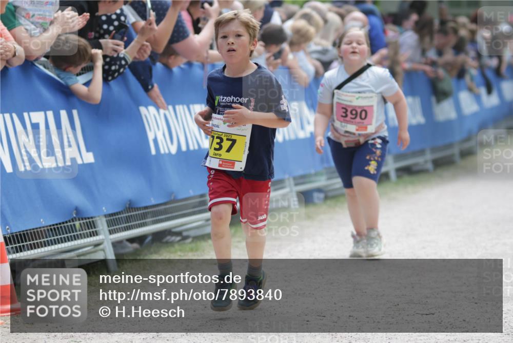 17.05.2025 - Störlauf H.Heesch http://msf.ph/oto/7893840 17.05.2025 14:10:40 Ziel 2025, 137, 390 meine-sportfotos.de