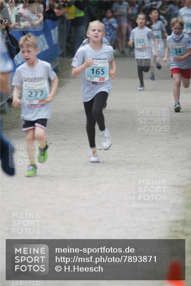 17.05.2025 - Störlauf H.Heesch http://msf.ph/oto/7893871 17.05.2025 13:44:42 Ziel 165, 277, 342, 34, 34 meine-sportfotos.de