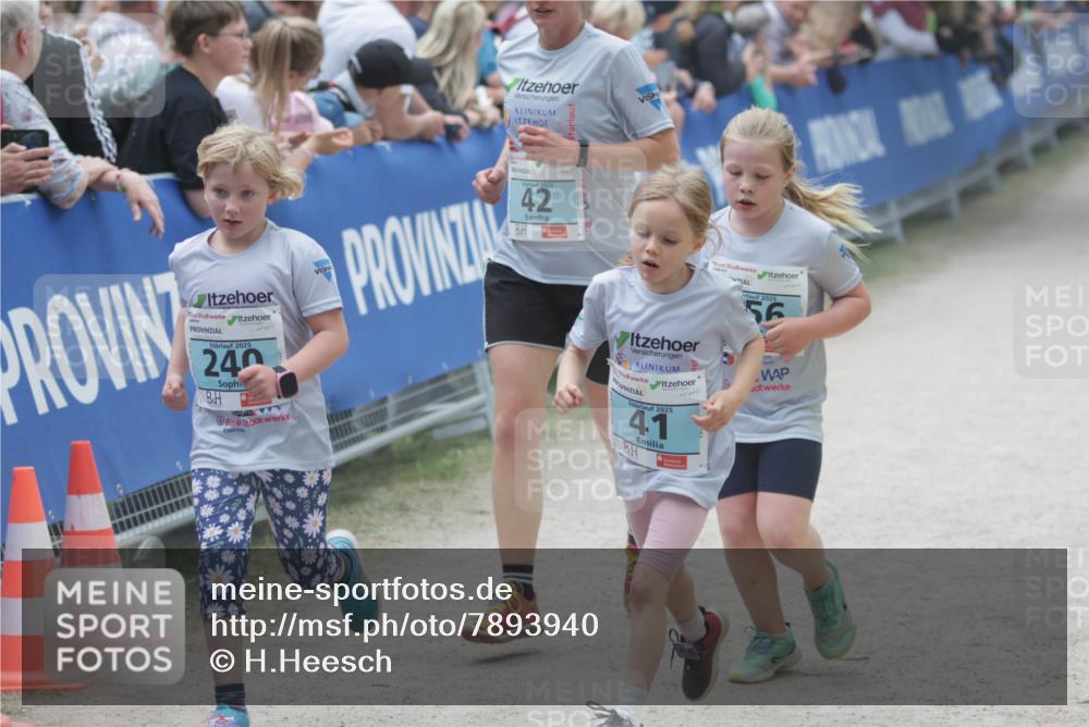 17.05.2025 - Störlauf H.Heesch http://msf.ph/oto/7893940 17.05.2025 13:45:00 Ziel 2025, 240, 42, 2025, 56, 2025, 41 meine-sportfotos.de