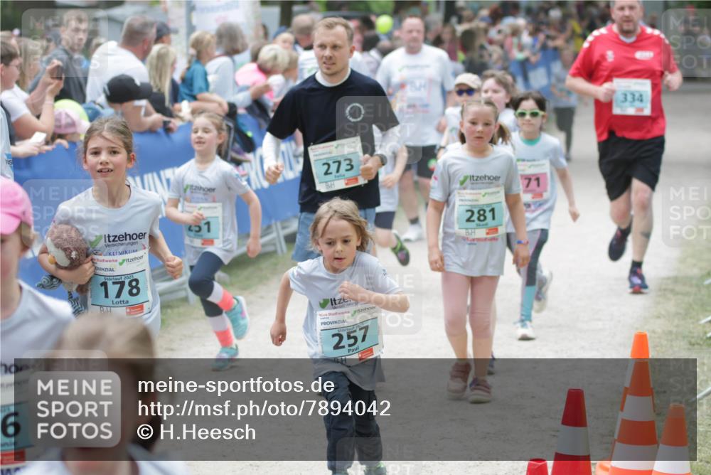 17.05.2025 - Störlauf H.Heesch http://msf.ph/oto/7894042 17.05.2025 13:45:36 Ziel 6, 2025, 178, 51, 273, 71, 2025, 257, 281, 334 meine-sportfotos.de