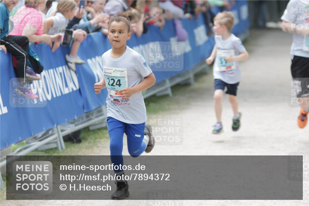 17.05.2025 - Störlauf H.Heesch http://msf.ph/oto/7894372 17.05.2025 13:47:06 Ziel 2025, 224 meine-sportfotos.de