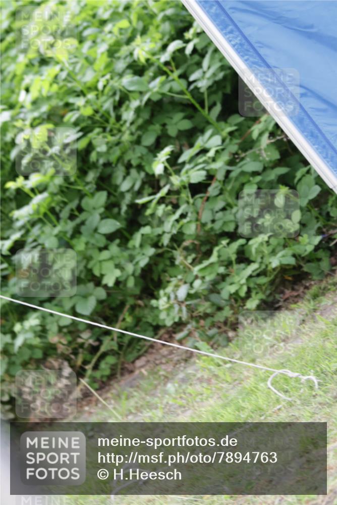 17.05.2025 - Störlauf H.Heesch http://msf.ph/oto/7894763 17.05.2025 13:54:08 Ziel  meine-sportfotos.de