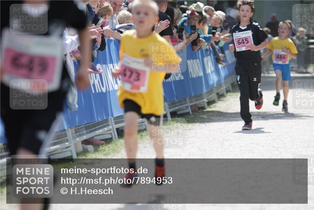 17.05.2025 - Störlauf H.Heesch http://msf.ph/oto/7894953 17.05.2025 13:55:42 Ziel 649, 473, 645, 486 meine-sportfotos.de