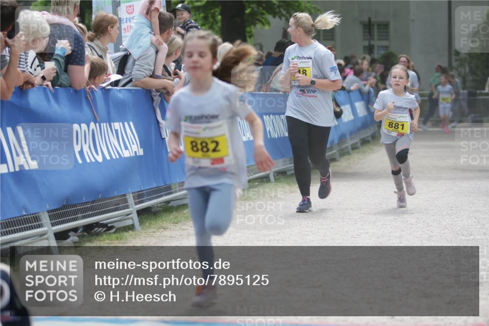17.05.2025 - Störlauf H.Heesch http://msf.ph/oto/7895125 17.05.2025 14:16:09 Ziel 91, 18, 882, 881 meine-sportfotos.de