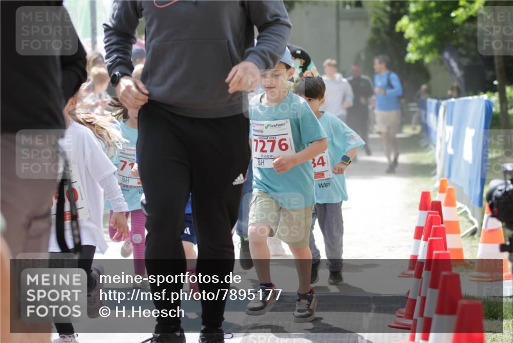 17.05.2025 - Störlauf H.Heesch http://msf.ph/oto/7895177 17.05.2025 13:02:15 Ziel 77, 2025, 7276, 34 meine-sportfotos.de