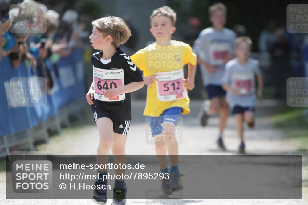 17.05.2025 - Störlauf H.Heesch http://msf.ph/oto/7895293 17.05.2025 13:56:30 Ziel 2025, 640, 512 meine-sportfotos.de