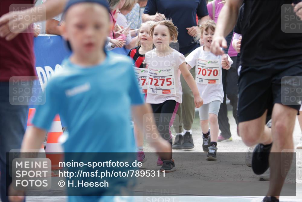 17.05.2025 - Störlauf H.Heesch http://msf.ph/oto/7895311 17.05.2025 13:02:52 Ziel 2025, 2025, 27, 7275, 2025, 7070 meine-sportfotos.de