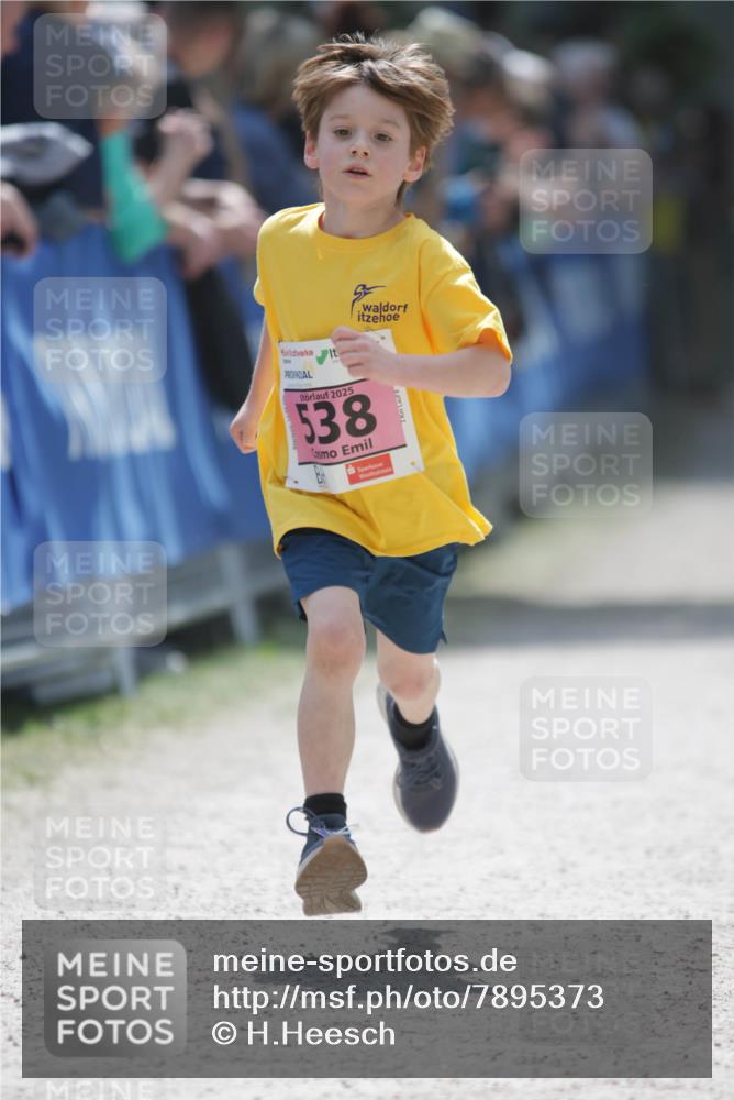 17.05.2025 - Störlauf H.Heesch http://msf.ph/oto/7895373 17.05.2025 13:56:39 Ziel 2025, 538, 2 meine-sportfotos.de
