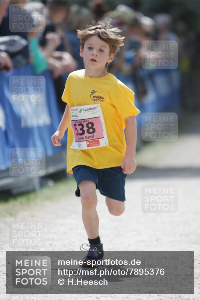 17.05.2025 - Störlauf H.Heesch http://msf.ph/oto/7895376 17.05.2025 13:56:39 Ziel 2025, 538 meine-sportfotos.de
