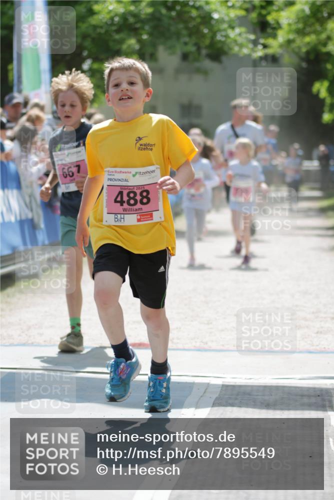 17.05.2025 - Störlauf H.Heesch http://msf.ph/oto/7895549 17.05.2025 13:57:04 Ziel 667, 2025, 488 meine-sportfotos.de