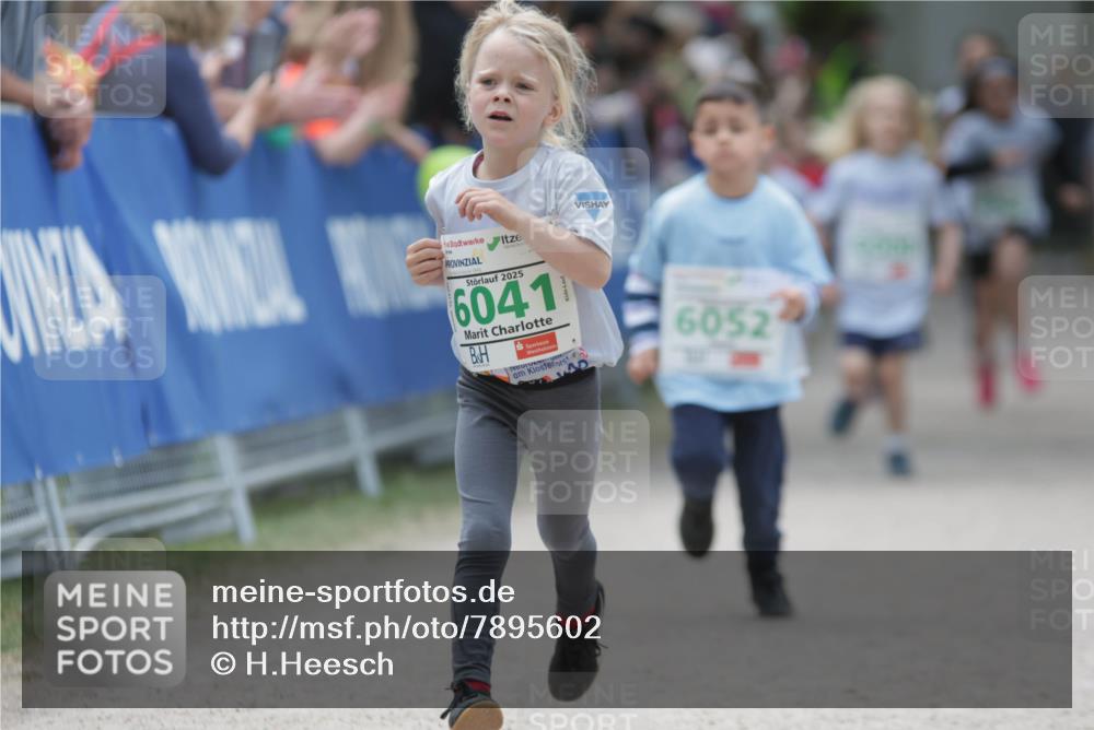 17.05.2025 - Störlauf H.Heesch http://msf.ph/oto/7895602 17.05.2025 13:16:49 Ziel 2025, 6041, 6052 meine-sportfotos.de