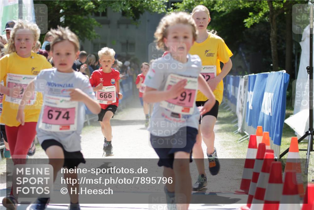 17.05.2025 - Störlauf H.Heesch http://msf.ph/oto/7895796 17.05.2025 13:57:39 Ziel 666, 91, 674 meine-sportfotos.de