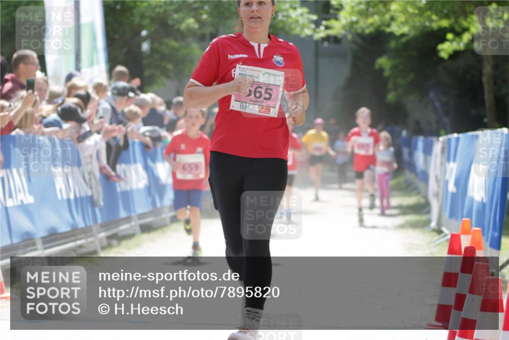 17.05.2025 - Störlauf H.Heesch http://msf.ph/oto/7895820 17.05.2025 13:57:41 Ziel 659, 2025, 65 meine-sportfotos.de