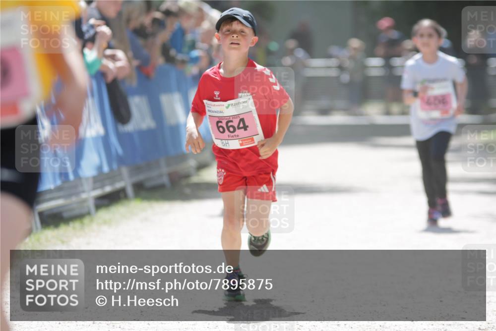 17.05.2025 - Störlauf H.Heesch http://msf.ph/oto/7895875 17.05.2025 13:57:49 Ziel 2025, 664, 1436 meine-sportfotos.de
