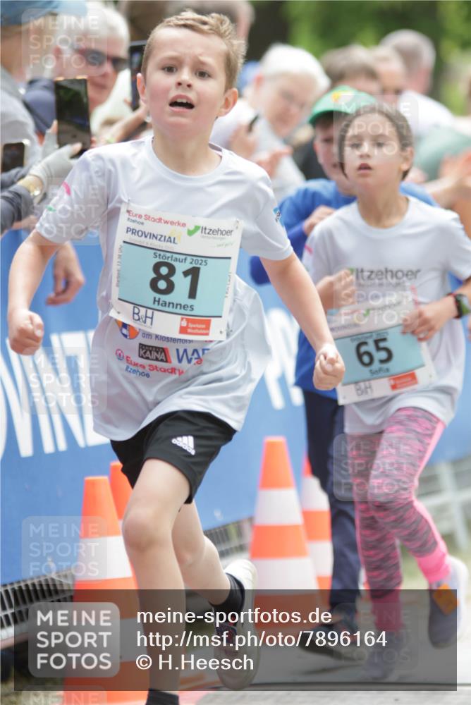 17.05.2025 - Störlauf H.Heesch http://msf.ph/oto/7896164 17.05.2025 13:40:25 Ziel 2025, 81, 65 meine-sportfotos.de