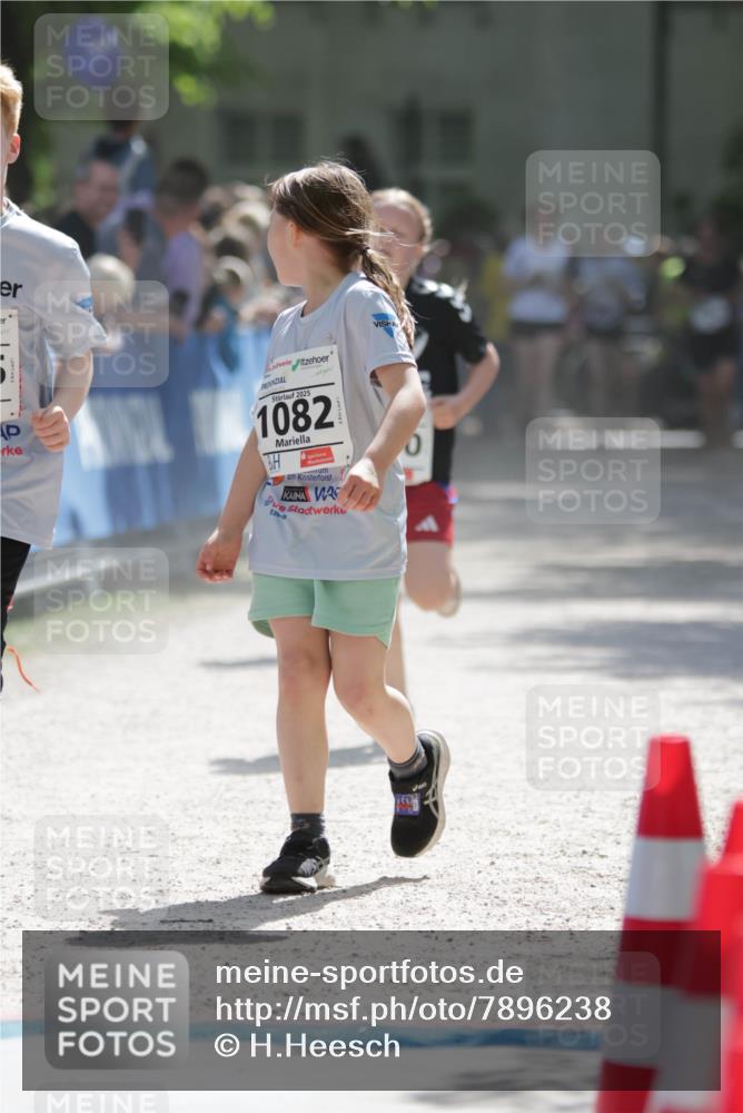 17.05.2025 - Störlauf H.Heesch http://msf.ph/oto/7896238 17.05.2025 14:50:00 Ziel 2025, 1082 meine-sportfotos.de