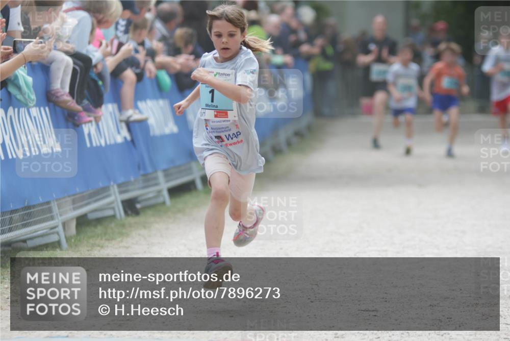 17.05.2025 - Störlauf H.Heesch http://msf.ph/oto/7896273 17.05.2025 13:40:44 Ziel 1 meine-sportfotos.de