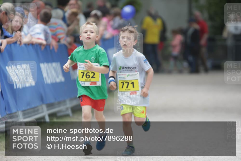 17.05.2025 - Störlauf H.Heesch http://msf.ph/oto/7896288 17.05.2025 14:19:51 Ziel 204, 762, 2025, 771 meine-sportfotos.de