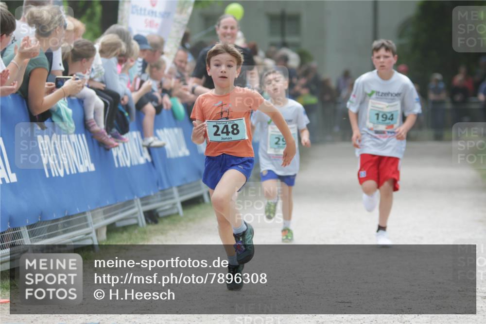 17.05.2025 - Störlauf H.Heesch http://msf.ph/oto/7896308 17.05.2025 13:40:48 Ziel 2025, 248, 29, 194 meine-sportfotos.de