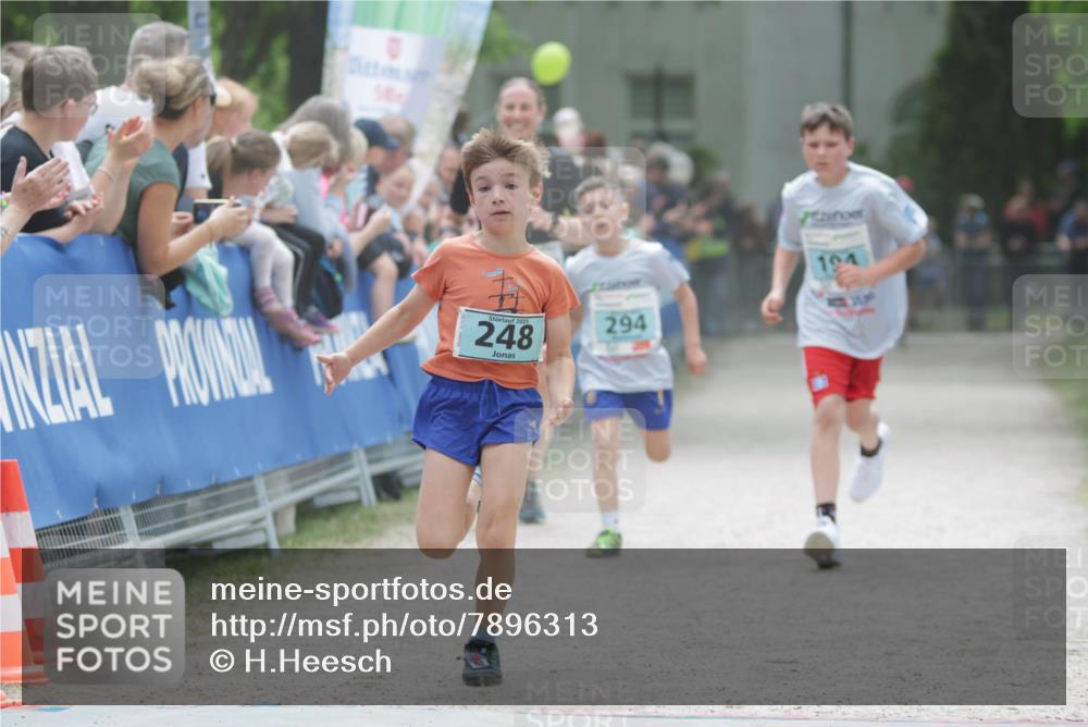 17.05.2025 - Störlauf H.Heesch http://msf.ph/oto/7896313 17.05.2025 13:40:48 Ziel 2025, 248, 294, 194 meine-sportfotos.de