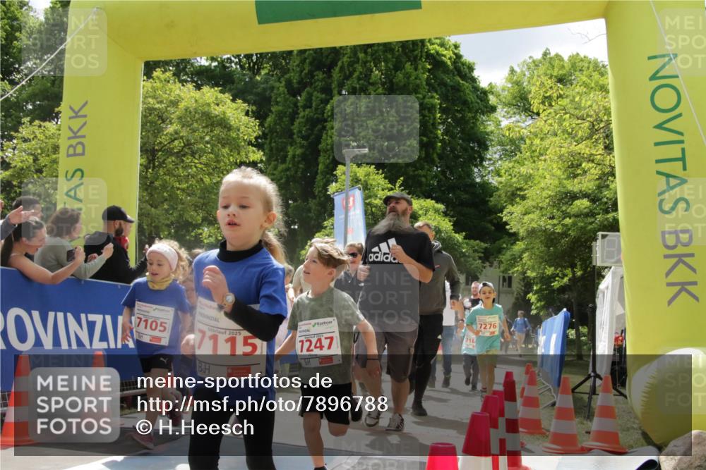 17.05.2025 - Störlauf H.Heesch http://msf.ph/oto/7896788 17.05.2025 13:02:11 Ziel 7105, 115, 7247, 7276 meine-sportfotos.de