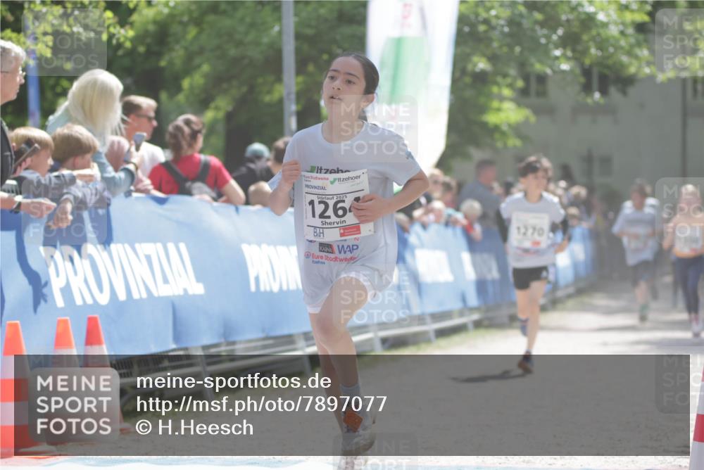 17.05.2025 - Störlauf H.Heesch http://msf.ph/oto/7897077 17.05.2025 14:52:18 Ziel 2025, 1264, 2, 1270 meine-sportfotos.de