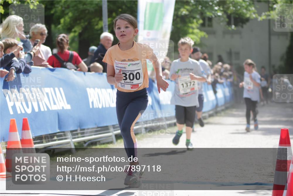 17.05.2025 - Störlauf H.Heesch http://msf.ph/oto/7897118 17.05.2025 14:52:21 Ziel 2025, 300, 0, 1372 meine-sportfotos.de