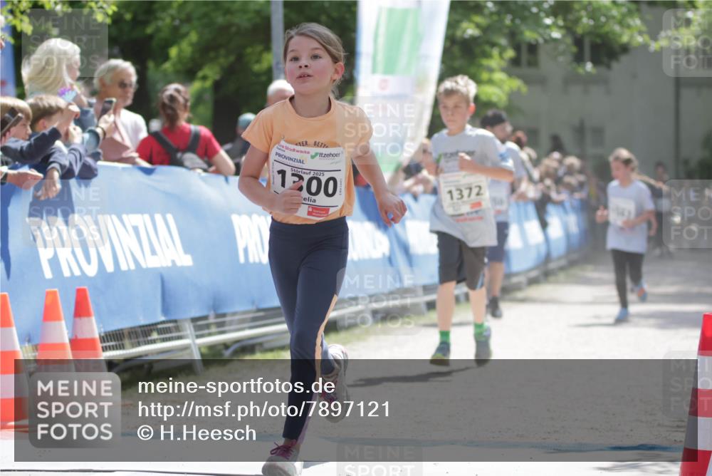 17.05.2025 - Störlauf H.Heesch http://msf.ph/oto/7897121 17.05.2025 14:52:22 Ziel 2025, 1200, 1372 meine-sportfotos.de