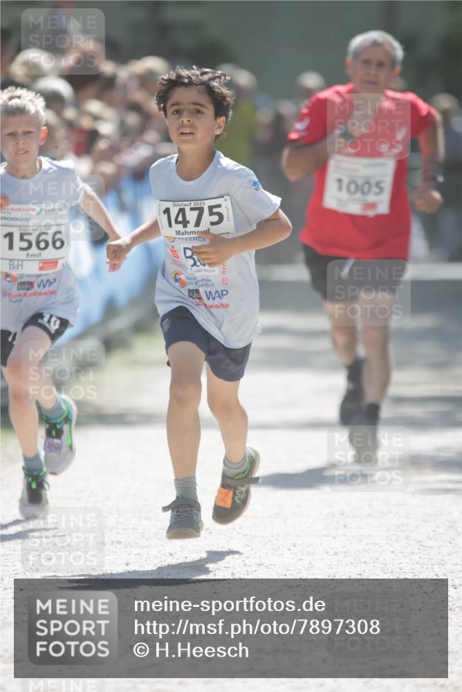 17.05.2025 - Störlauf H.Heesch http://msf.ph/oto/7897308 17.05.2025 14:40:46 Ziel 2025, 1566, 2025, 1475, 1005 meine-sportfotos.de