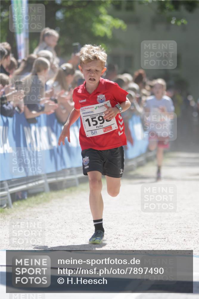 17.05.2025 - Störlauf H.Heesch http://msf.ph/oto/7897490 17.05.2025 14:41:32 Ziel 2025, 159 meine-sportfotos.de
