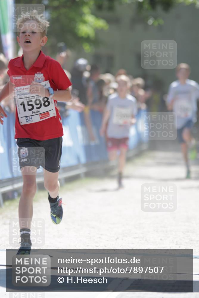 17.05.2025 - Störlauf H.Heesch http://msf.ph/oto/7897507 17.05.2025 14:41:33 Ziel 2025, 1598 meine-sportfotos.de