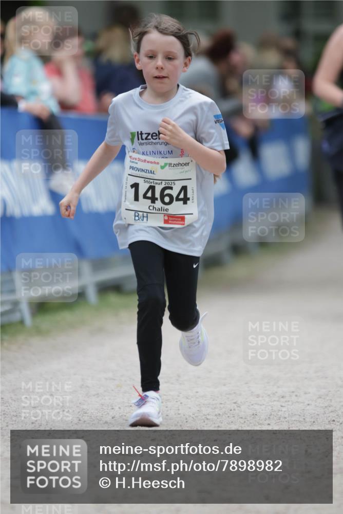 17.05.2025 - Störlauf H.Heesch http://msf.ph/oto/7898982 17.05.2025 15:01:02 Ziel 2025, 1464 meine-sportfotos.de