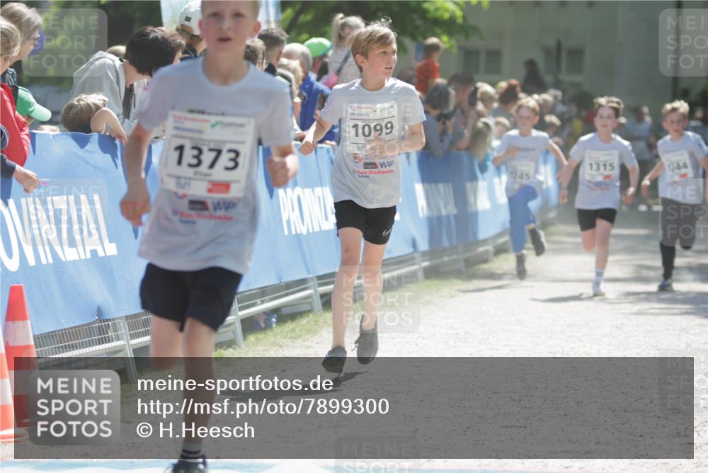 17.05.2025 - Störlauf H.Heesch http://msf.ph/oto/7899300 17.05.2025 14:46:38 Ziel 1373, 1099, 45, 1315, 44 meine-sportfotos.de