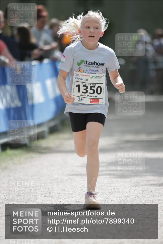 17.05.2025 - Störlauf H.Heesch http://msf.ph/oto/7899340 17.05.2025 15:04:48 Ziel 2025, 1350 meine-sportfotos.de