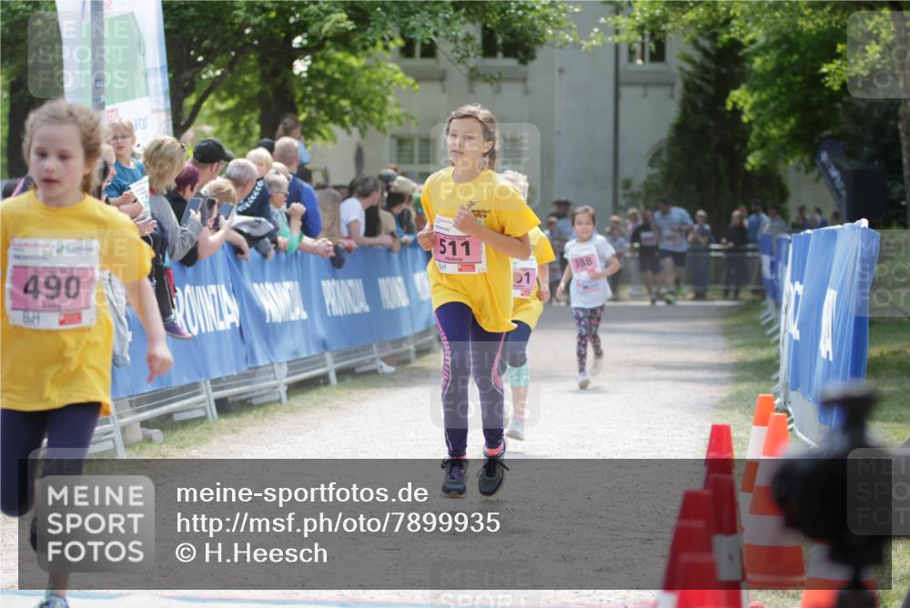 17.05.2025 - Störlauf H.Heesch http://msf.ph/oto/7899935 17.05.2025 14:00:06 Ziel 490, 511, 388 meine-sportfotos.de