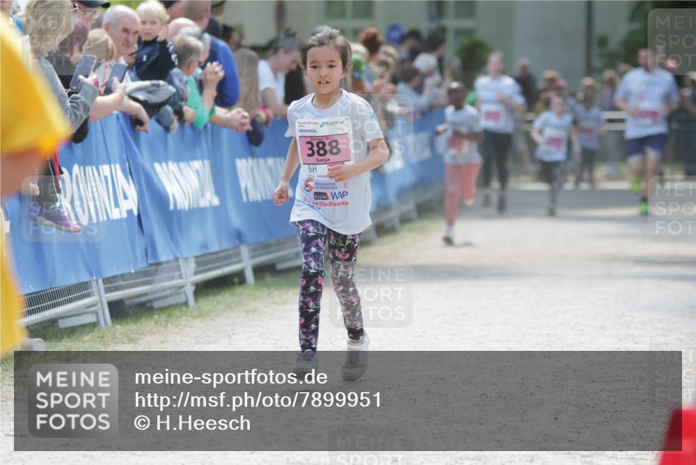 17.05.2025 - Störlauf H.Heesch http://msf.ph/oto/7899951 17.05.2025 14:00:08 Ziel 2025, 388, 25 meine-sportfotos.de