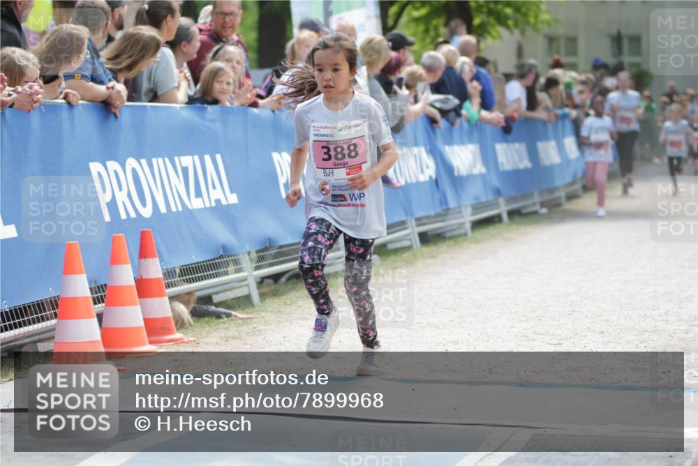 17.05.2025 - Störlauf H.Heesch http://msf.ph/oto/7899968 17.05.2025 14:00:10 Ziel 2025, 388 meine-sportfotos.de