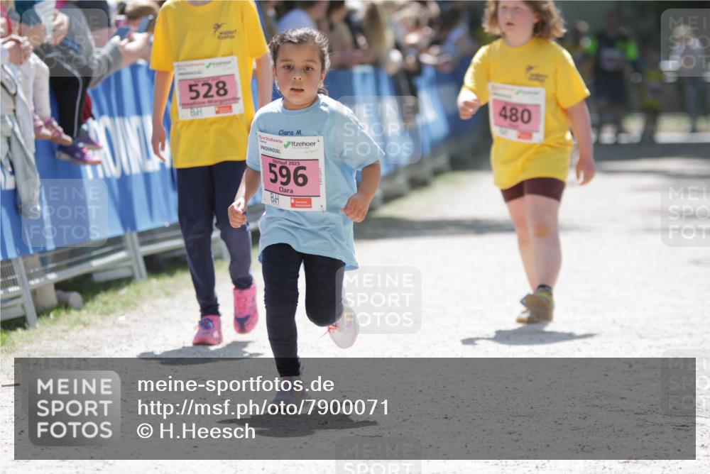 17.05.2025 - Störlauf H.Heesch http://msf.ph/oto/7900071 17.05.2025 14:01:01 Ziel 528, 2025, 596, 480 meine-sportfotos.de