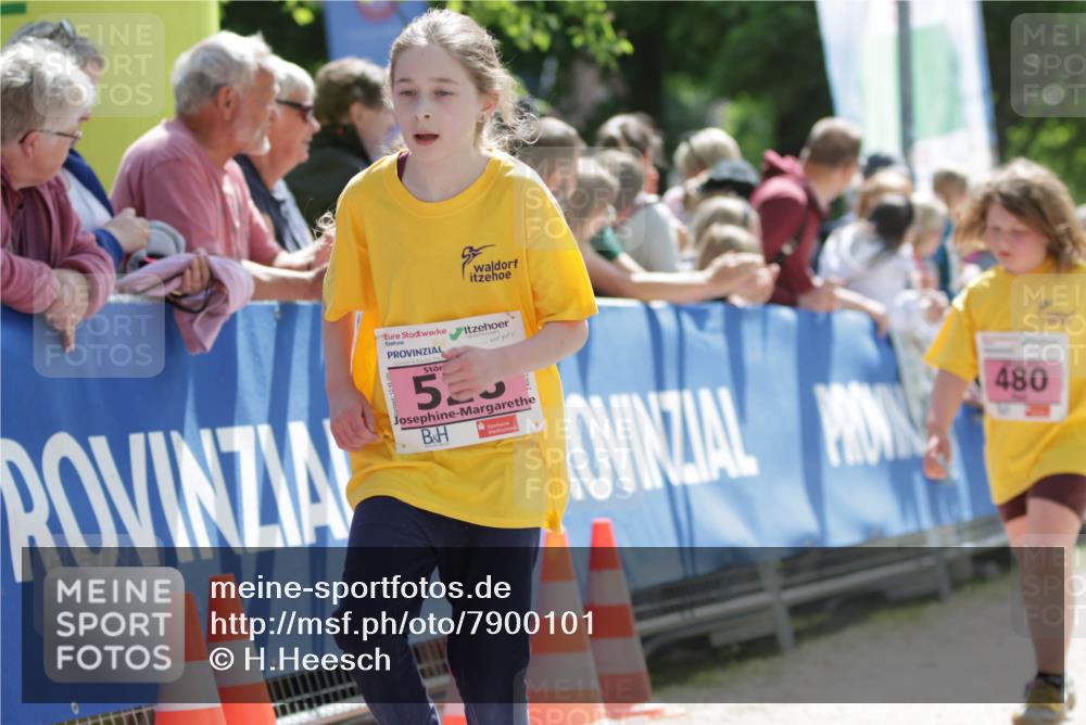 17.05.2025 - Störlauf H.Heesch http://msf.ph/oto/7900101 17.05.2025 14:01:05 Ziel 533, 480 meine-sportfotos.de