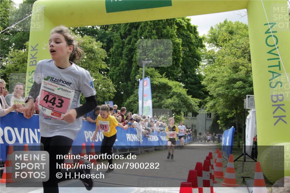 17.05.2025 - Störlauf H.Heesch http://msf.ph/oto/7900282 17.05.2025 13:56:16 Ziel 2025, 443, 531, 435 meine-sportfotos.de
