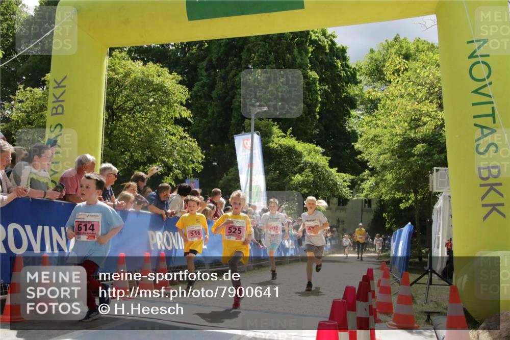 17.05.2025 - Störlauf H.Heesch http://msf.ph/oto/7900641 17.05.2025 13:58:07 Ziel 614, 525 meine-sportfotos.de
