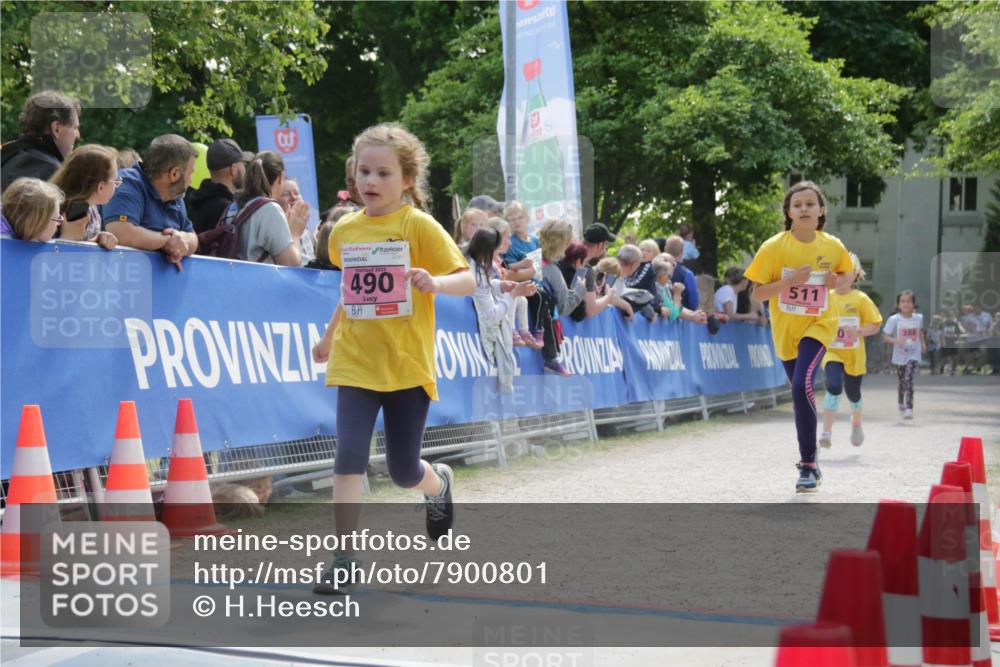 17.05.2025 - Störlauf H.Heesch http://msf.ph/oto/7900801 17.05.2025 14:00:04 Ziel 2025, 490, 511, 388 meine-sportfotos.de
