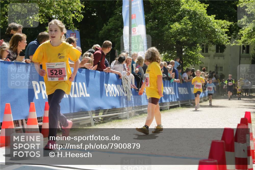 17.05.2025 - Störlauf H.Heesch http://msf.ph/oto/7900879 17.05.2025 14:01:04 Ziel 19, 9, 9091, 20, 2025, 528, 484 meine-sportfotos.de