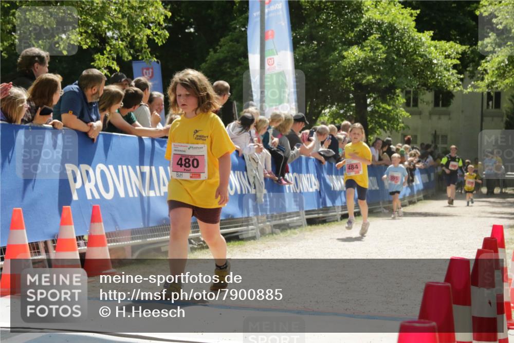 17.05.2025 - Störlauf H.Heesch http://msf.ph/oto/7900885 17.05.2025 14:01:05 Ziel 480, 484 meine-sportfotos.de